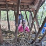 phoca_thumb_m_krteci u krmelce 9 Fotogalerie